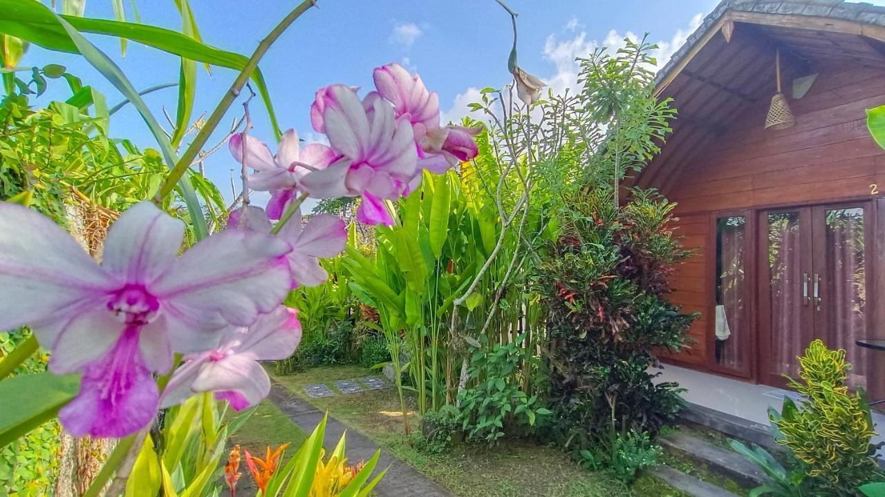 Morning Bali Bungalow Canggu  Luaran gambar